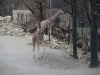 Zoo München