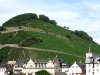 Weinberg bei Burg Nollig