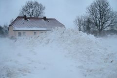Winter Januar 2010 - Eingeschneit!